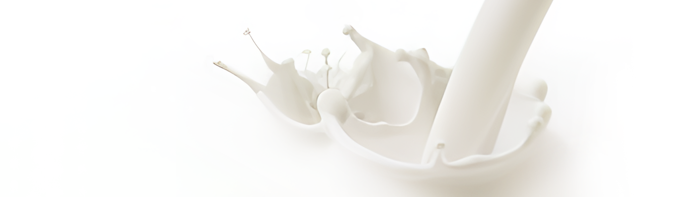 Collection - storage of milk